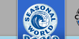 Seasonal World Pools Website Design